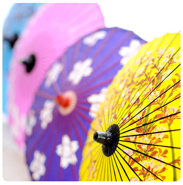 色とりどりの傘が並ぶ写真