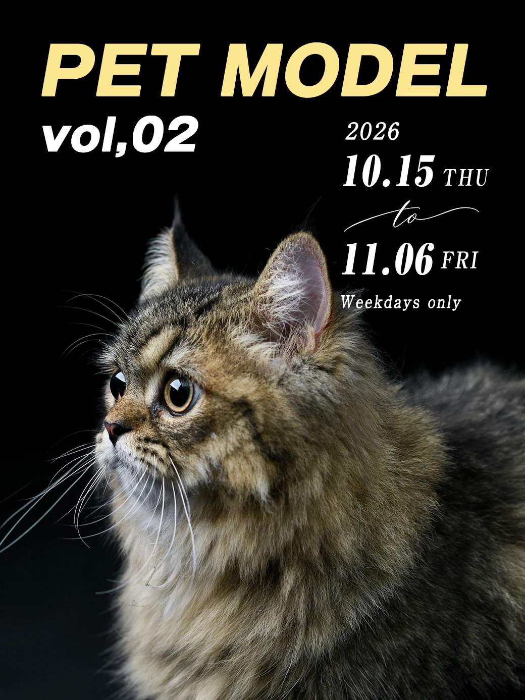 ペットモデル 猫